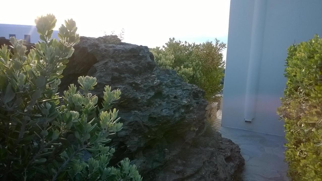 Andros Eco Home Gavrio Exterior photo